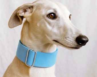 Martingalehalsband voor windhond Blue Sky, windhondkraag, windhondhalsband, Italiaanse windhond - HolaGALGO