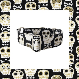 Martingale Dog Collar for greyhound Black Skulls, Whippet Collar, Sighthound Collar, Italian Greyhound - HolaGALGO