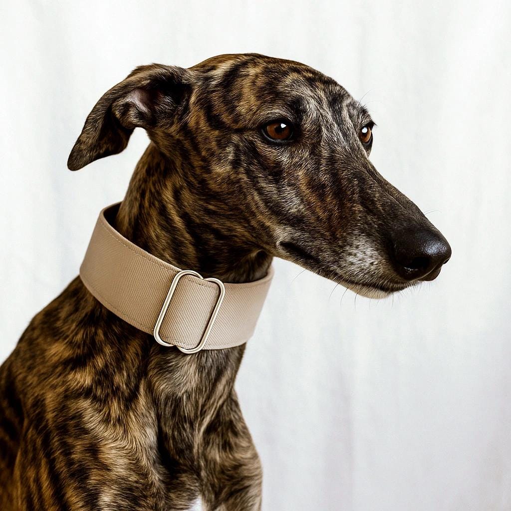 Galgo halsband - Etsy.de