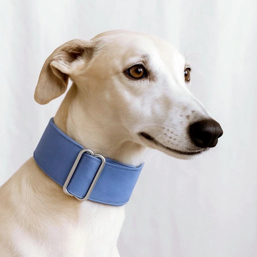 Halsband whippet - Etsy.de