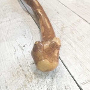 May include: A handcrafted wooden walking stick with a natural, organic shape. The stick is a warm brown color with lighter wood grain patterns. The handle has a rounded, bulbous shape for a comfortable grip. The walking stick is designed for support and balance.