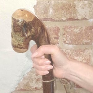 May include: A wooden walking cane with a curved handle. The handle is light brown with darker brown and tan patterns. The shaft is a darker brown. The cane is held by a hand. The background is a brick wall.