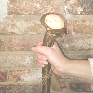 May include: A handcrafted wooden walking stick with a light-colored, rounded top and a textured, dark brown shaft. The stick is held by a hand, showcasing its natural wood grain and unique shape. A twine detail is wrapped around the shaft.