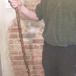May include: A rustic walking stick made of natural wood, with a dark brown finish and small knots along its length. A black cord is attached near the top. The stick is approximately 152 cm long.
