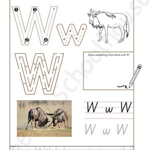 Może przedstawiać: Edukacyjny arkusz ćwiczeń z literą "W". Zawiera ćwiczenia śledzenia, labirynt i polecenie rysowania. Dołączono również zdjęcie gnu. Tekst "The Wildebeest is wild" znajduje się na dole.