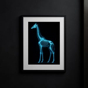 May include: A framed print showing a blue-toned X-ray of a giraffe skeleton on a black backdrop. The image is set within a black frame with a white mount. The giraffe is shown in profile, highlighting its skeletal structure. The artwork is a striking piece.
