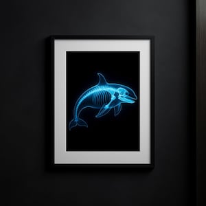May include: Framed print featuring a blue x-ray of an orca whale skeleton against a black background. The orca is depicted in a side profile, showcasing its skeletal structure. The print is encased in a black frame with a white border, suitable for wall decor.