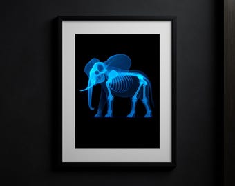 May include: Framed art print featuring a blue x-ray image of an elephant skeleton against a black background. The elephant is depicted in a side profile, showcasing its bones and tusks. The print is encased in a black frame with a white mat.