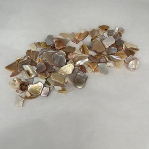 Mixed Mother of Pearl Seashell Pieces   Natural Shell Chips for Resin Art, Mosaics & Crafting
