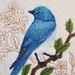 see more listings in the BIRDS- ANIMALS- WILDLIFE section