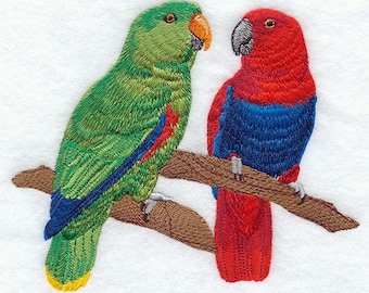 Parrot Towel - Topical  Towel -  MaCaw  Towel - Embroidered Towel  - Hand Towel - Bath Towel - Apron-Kitchen Towel