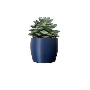 May include: A succulent plant in a dark blue ceramic pot. The pot is round and has a smooth finish.