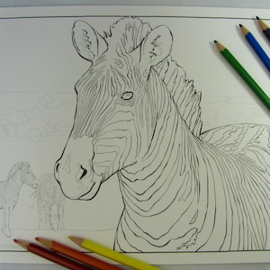 May include: A black and white line drawing of a zebra with a detailed striped pattern. The zebra is facing the viewer with its head turned slightly to the side. There are two smaller zebras in the background.