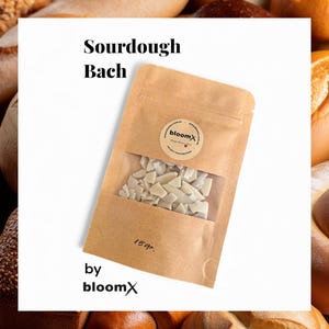 May include: A brown paper bag with a clear window, filled with white sourdough starter pieces. The bag has the text "Sourdough Bach" and "by bloomX" printed on it. The bag contains 159 grams of product. The background is filled with various types of bread.