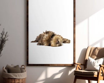 Sleepy dog photo print