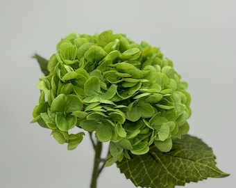 Real Touch Grön Konstgjord Hortensia: Konstgjord Blomma med Stjälk