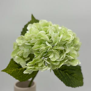 May include: A light green hydrangea flower with large, clustered blooms and dark green leaves. The artificial flower is in a beige vase against a white background. The flower's petals have a layered appearance.