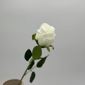 Può includere: Una singola rosa artificiale bianca con petali stratificati e un gambo verde con diverse foglie seghettate. Il fiore emerge da un vaso cilindrico color beige chiaro su uno sfondo grigio neutro e uniforme.