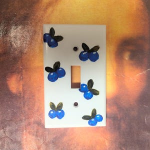 Hand Painted Flower Light Switch Covers