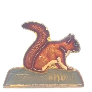Vintage 70s Red-Tailed Squirrel Pin Sitting on a Rock Enamel Brown Red Gray