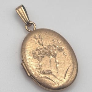 May include: A gold-colored oval locket pendant with a floral design. The locket has a textured surface and a loop for a chain. The floral design is etched into the metal, adding detail to the piece.