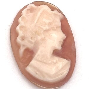 May include: Oval cameo pendant featuring a profile of a woman with detailed hair and a necklace. The cameo is carved in a light cream color, set against a reddish-brown background. The pendant is likely made of shell or stone.