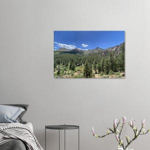 Stampa su tela delle Montagne Rocciose, Pike National Forest, Colorado