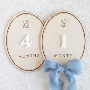 Full set of wooden baby month markers and milestone plaques for monthly baby photos, newborn photo sessions, and first year documentation. Neutral teddy bear theme works for baby boy or gender neutral nursery decor. Monthly milestone photo prop to capture 1–12 months, baby growth tracker for picture props, baby shower gift idea, handmade wooden milestone discs/plaques.