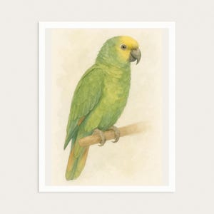 Green Parrot Watercolor Print: Tropical Bird Wall Art (Digital Download)