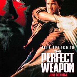 Cartel original de la película El arma perfecta de 1991