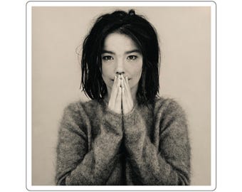 Bjork Artwork Stickers | Square Music Artist Sticker