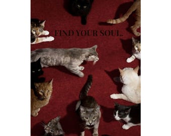 Surreal Cat Circle Poster, Dark Humor, Retro Red Decor