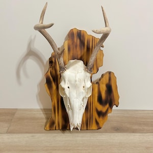 Handcrafted Burnt Wood Michigan State Plaque – Rustic Wall Decor or Mounting Base, European Deer Skull Mount Plaque or Cutting Board