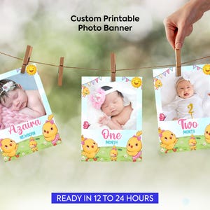 Canticos 12 Month Photo Banner, Printable, Personalized, Canticos 1st Birthday Monthly Banner Decoration, 1st Birthday Photo Garland.  CG01