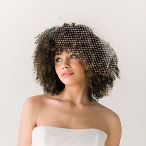 Birdcage veil with pearls and crystals - birdcage veils - mini veils - white birdcage veil - ivory birdcage veil - READY TO SHIP