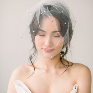 birdcage veil