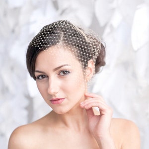 Mini birdcage veil, bridal veil, birdcage veil, wedding veil, blusher veil, mini veil, wedding vail, wedding veil - READY TO SHIP