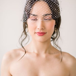 birdcage veil with pearls