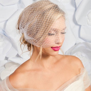 birdcage veil