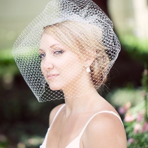 bridal birdcage veil