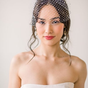 mini birdcage veil