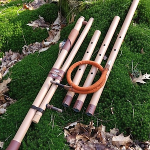 Generatie 5d Fujara (Terra Brown Tribal) per scheppingsfrequentie