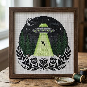 May include: A framed cross-stitch embroidery featuring a UFO hovering over a forest with a bright green tractor beam lifting a silhouette figure. The text I NEED A RESET is stitched within the beam, surrounded by a black floral border and crescent moon.