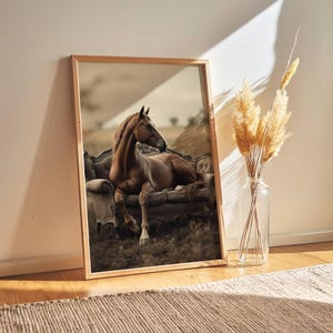 Lámina artística de caballo vintage: Caballo sentado en un sofá en un campo rural, decoración ecuestre victoriana, arte mural bohemio para amantes de los caballos.