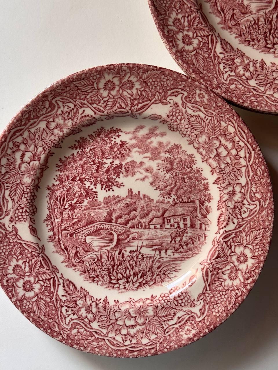 British vintage Broadhurst brown cup and saucer set/tea cup