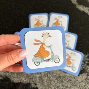 stupide oie sur des cartes de scooter | notes de boîte à lunch | cartes | merci des cartes | mini-cartes carrées | cartes et enveloppes | lot de 8