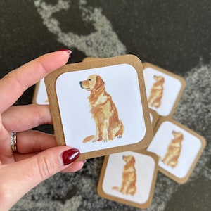 cartes golden retriever | notes de boîte à lunch | cartes | merci des cartes | mini-cartes carrées | cartes et enveloppes | lot de 8