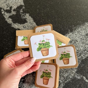fleurs roses en pot | notes de boîte à lunch | cartes | merci des cartes | mini-cartes carrées | cartes et enveloppes | lot de 8