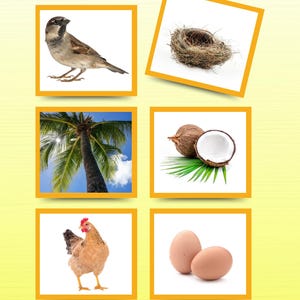 Peut inclure: Un collage de six images carrées encadrées en orange sur un fond jaune clair. Les images montrent un moineau brun, un nid d'oiseau tressé, un grand palmier sur fond de ciel bleu, une noix de coco brune coupée en deux avec des feuilles vertes, une poule brune et deux œufs bruns.