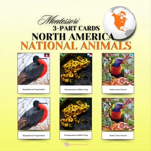 May include: Montessori 3-part cards featuring North American National Animals. The cards display images of a Magnificent Frigatebird, a Panamanian Golden Frog, and a Saint Lucia Parrot. The text on the cards includes the animal names.